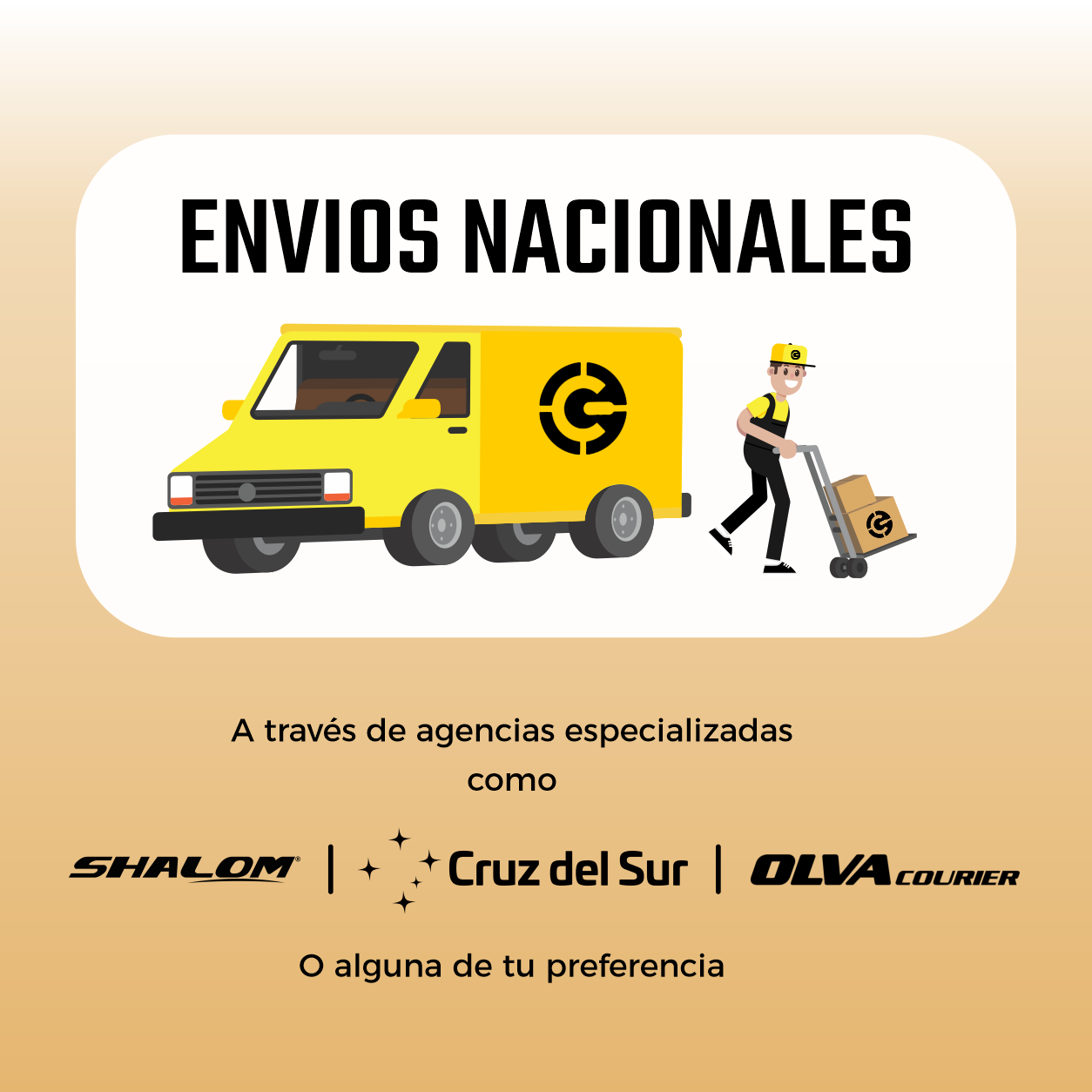 Imagen 5