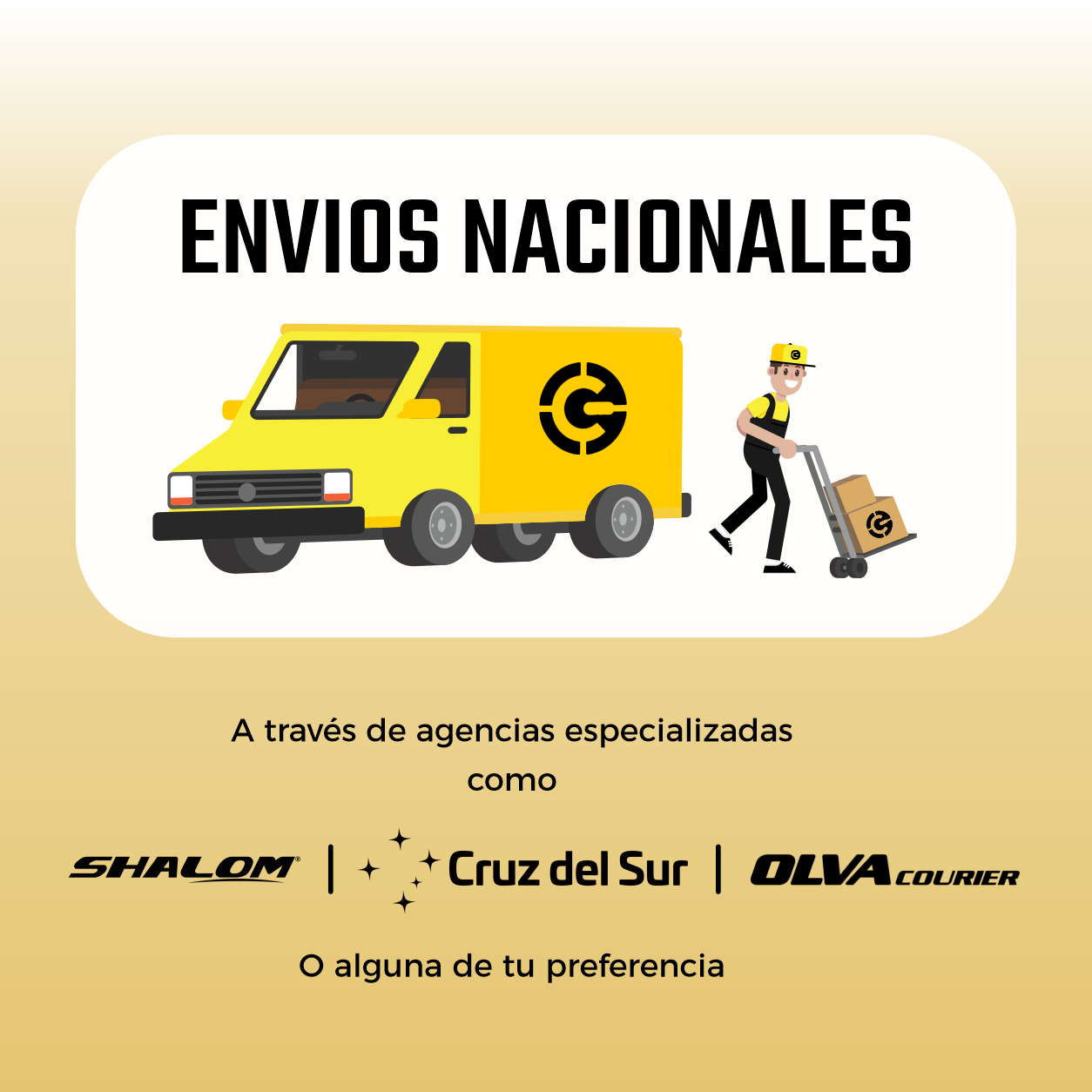 Imagen 5