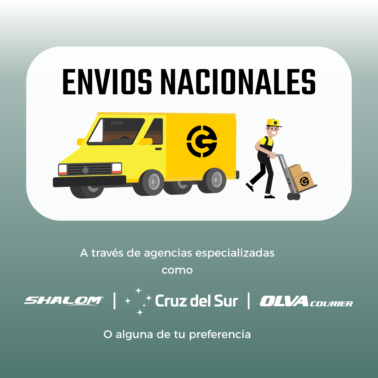 Imagen 5