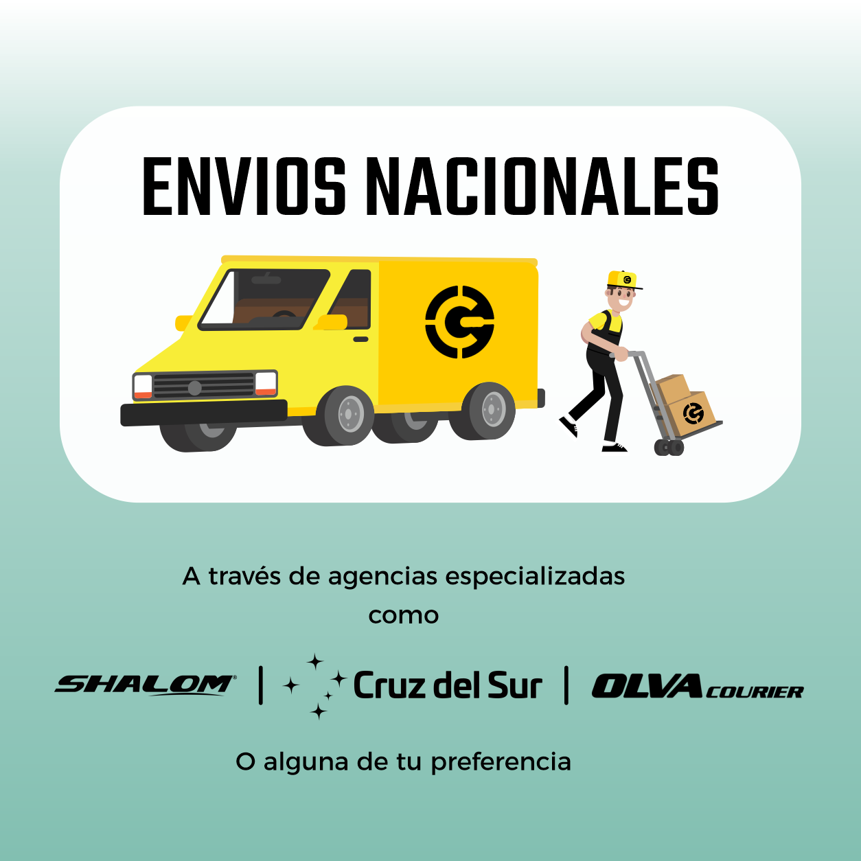 Imagen 5