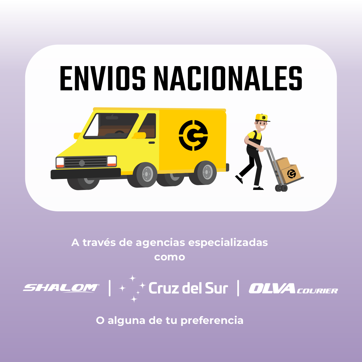 Imagen 5
